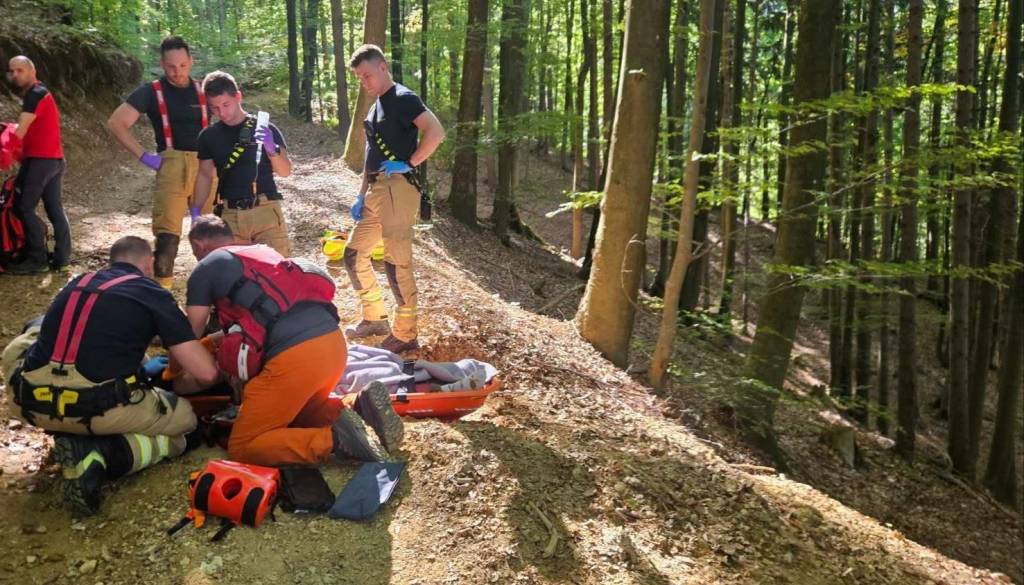 Jelko Kacin med nabiranjem gob padel in se huje poškodoval: S helikopterjem so ga odpeljali v bolnišnico