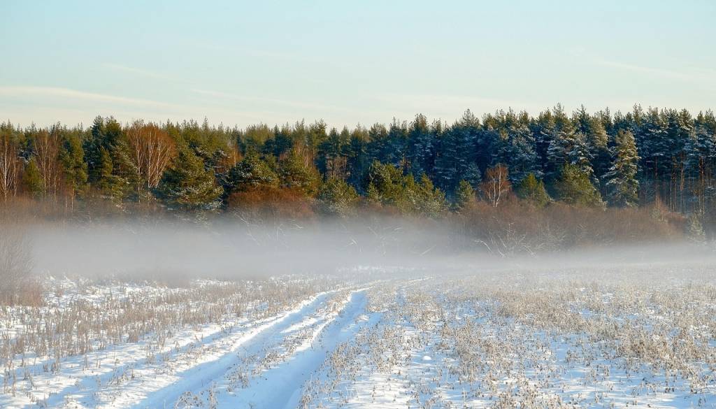 Svet se pripravlja na izjemno močan El Niño. Kaj nas čaka v prihodnjih mesecih?El Niño se krepi, strokovnjaki opozarjajo na ekstremne vremenske razmere
