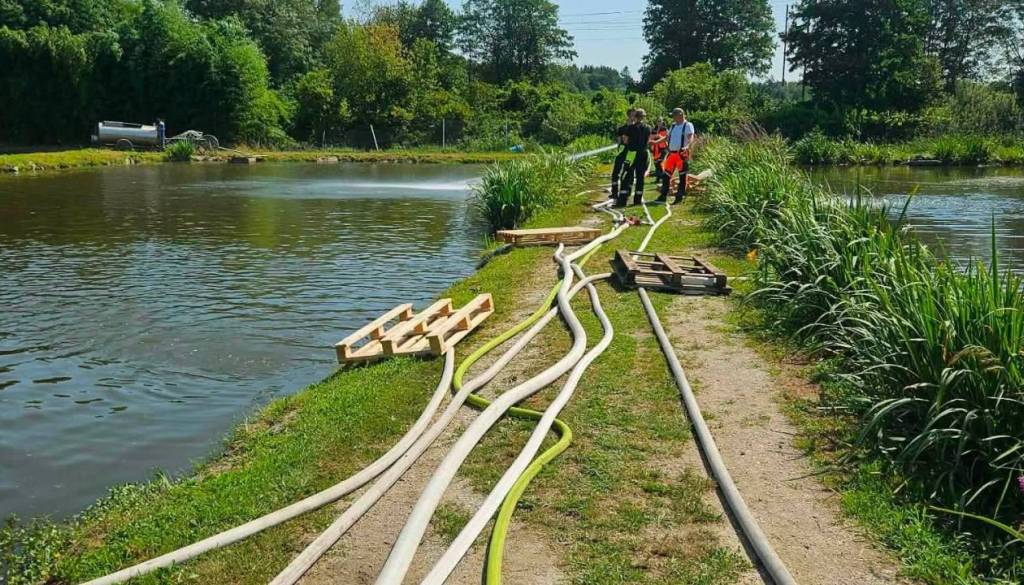 V Račah poginila tona rib, kriminalisti podali kazensko ovadbo