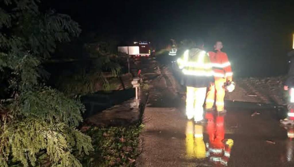 FOTO: Padlo okoli 200 litrov dežja, voda zalivala domove, drevesa padala na avtomobile
