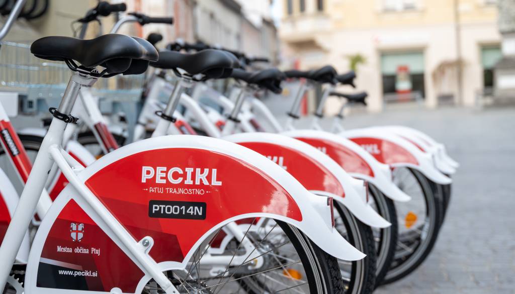Prenovljeni Pecikl na Ptuju: Uporabniki opozarjajo na težave, občina napoveduje izboljšave