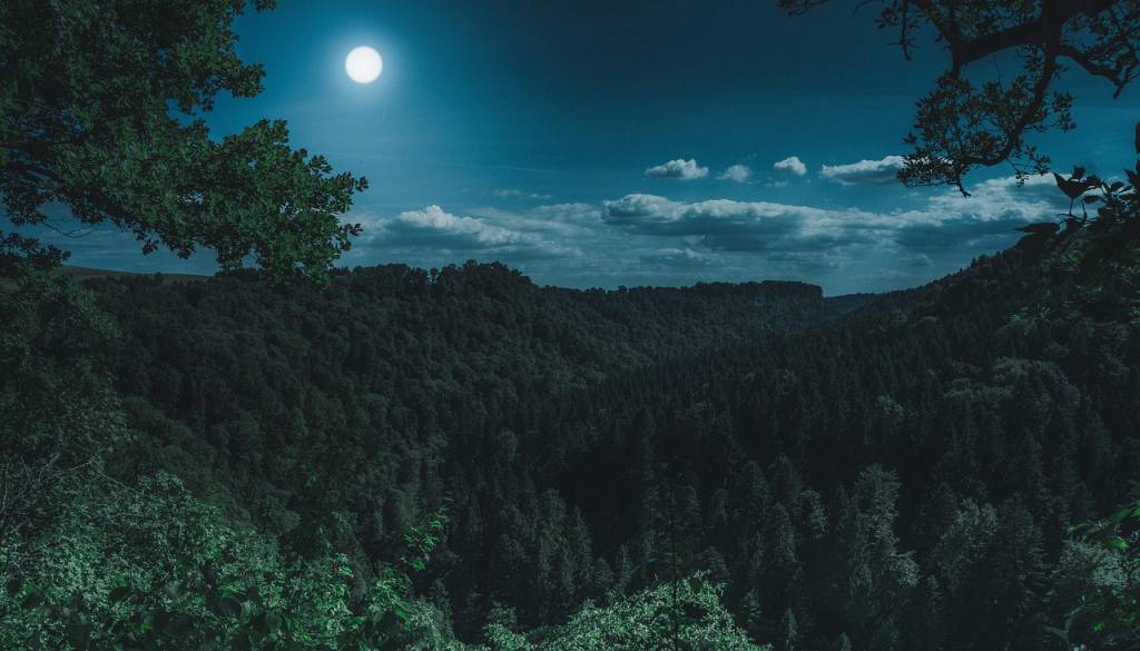 Ste pripravljeni? Magična snežna luna prinaša nepričakovana razkritja