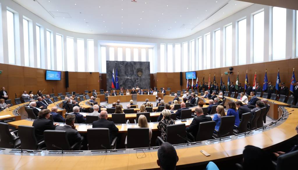 Violeta Tomič: V parlament bi bilo potrebno izvoliti romskega predstavnika