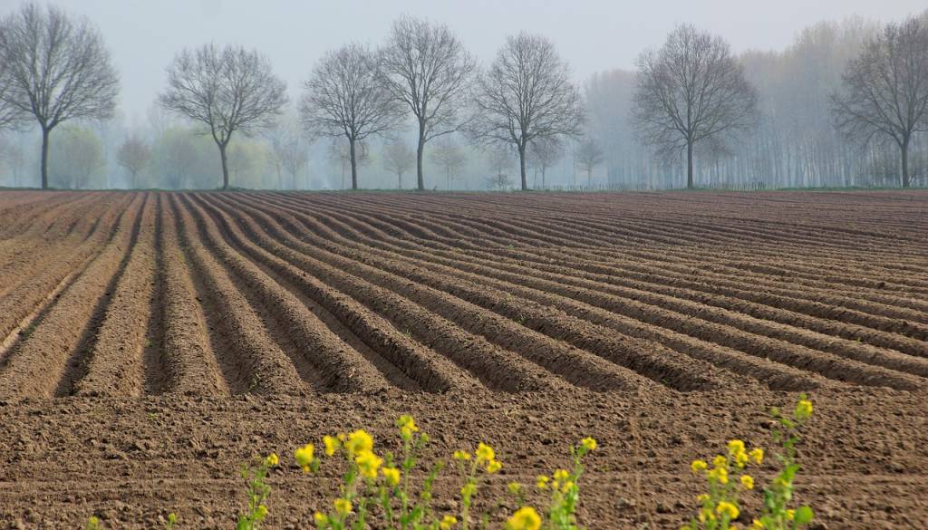 Pomurska občina prodaja več zemljišč, takšna je cena