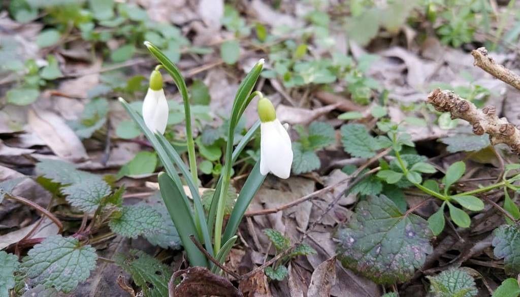 Bodo kurenti uspešni? Meteorologi napovedujejo spremembo vremena