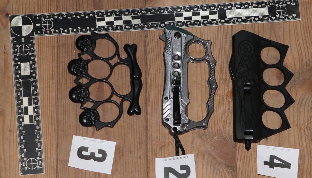 FOTO: Murskosoboški policisti zasegli 220 rastlin konoplje