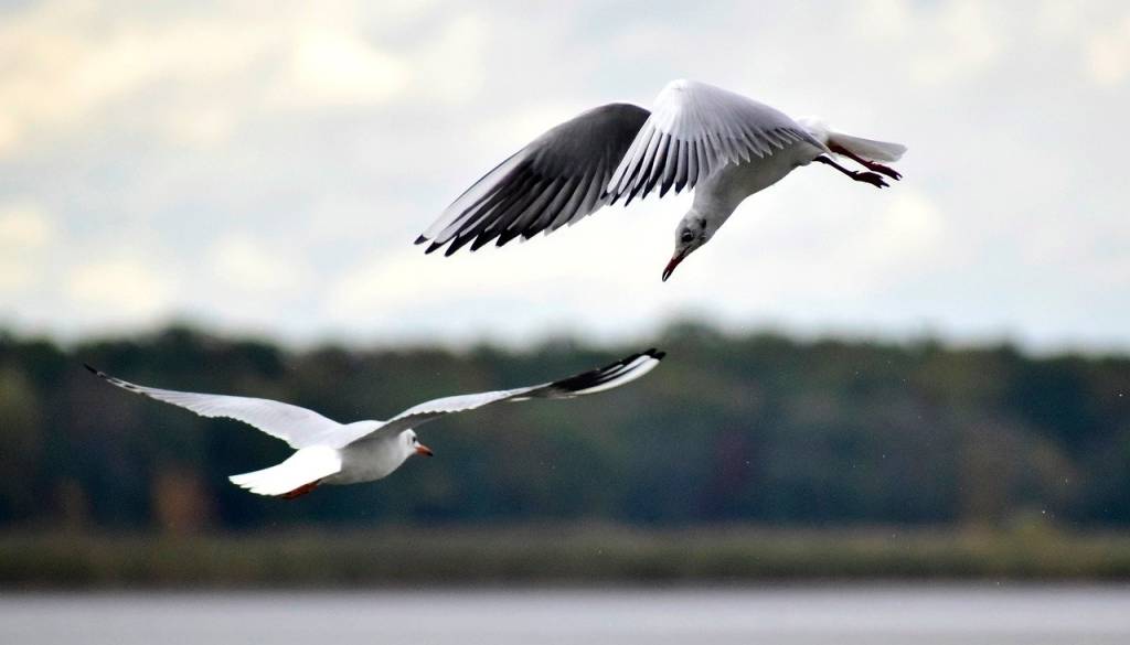 Najprej plohe, nato izboljšanje: bo pustni torek postregel s soncem?