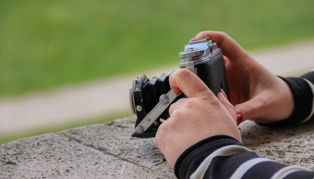 Nenavaden prizor iz gozda: Jelen »našemljen« na Brdu pri Kranju