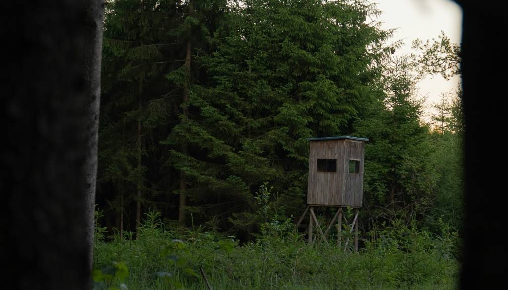 Ustreljen kozorog: Za trofejni lov plačal 32 tisoč evrov in razburil Slovenijo