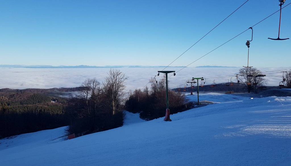Gače