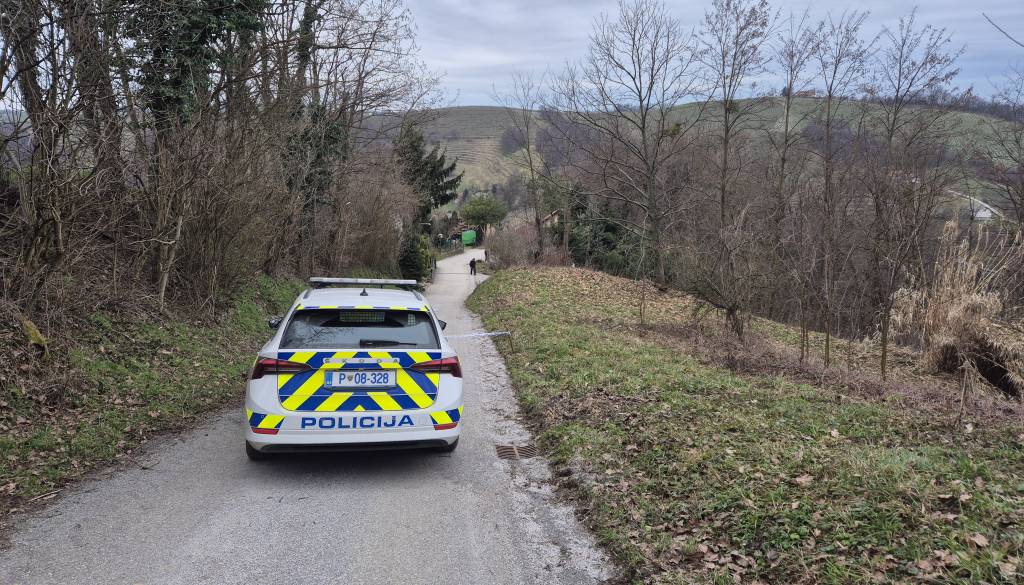 Podrobnosti tragedije: Umor in samomor med bratoma. 73-letnik umrl zaradi strela, 79-letnik si je sodil sam