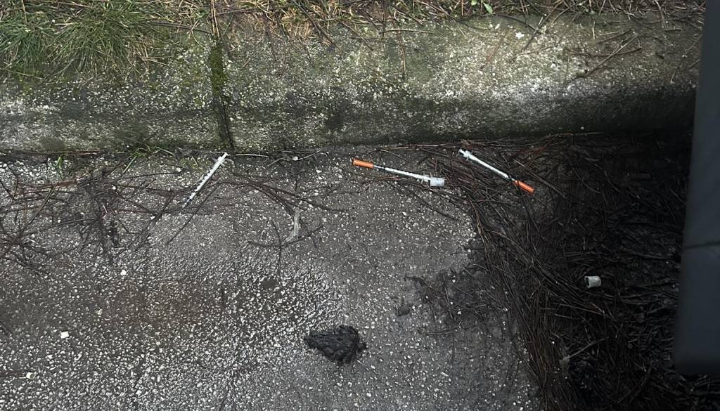 FOTO: Fotografija iz okolice te šole pretresla Kranjčane: Našli uporabljene narkomanske igle