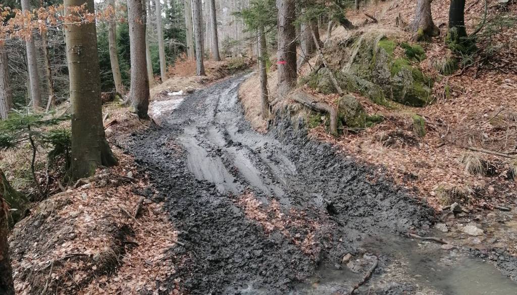 Razdejanje na Jesenicah: Je to normalno ali je za inšpektorja, se sprašujejo domačini?