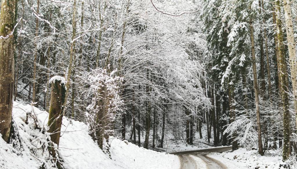 Snežni kolaps v Avstriji: Promet proti Gradcu močno otežen