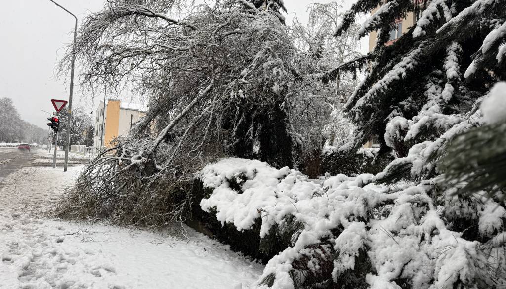 Gasilci v Mariboru in okolici imajo polne roke dela: Od snegolomov do prometnih nesreč
