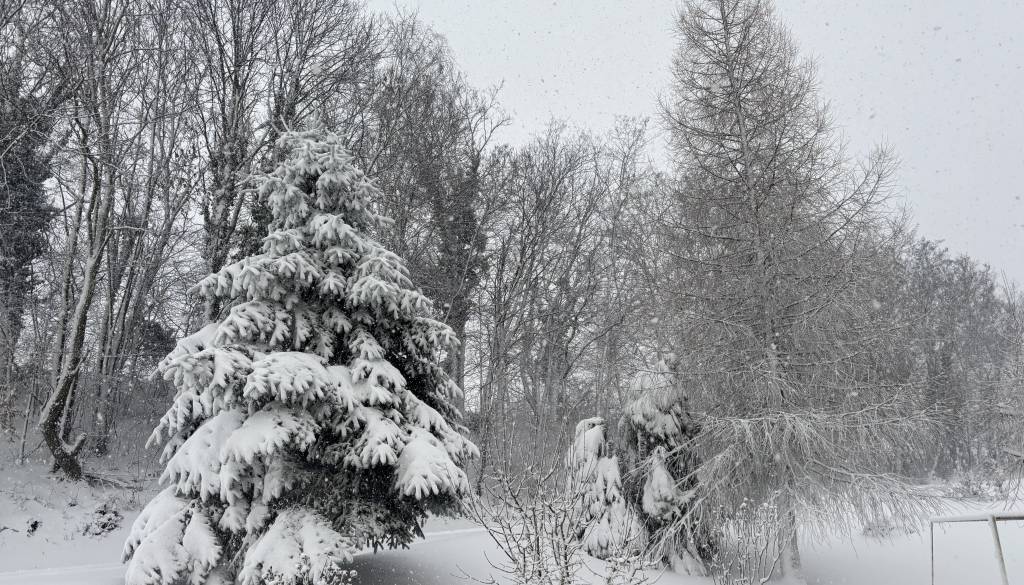 Kako dolgo bo še snežilo? 