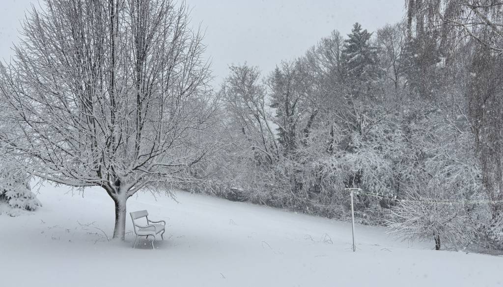 Maribor po zasneženem petku: Sneg se bo topil, kakšno vreme nas čaka?