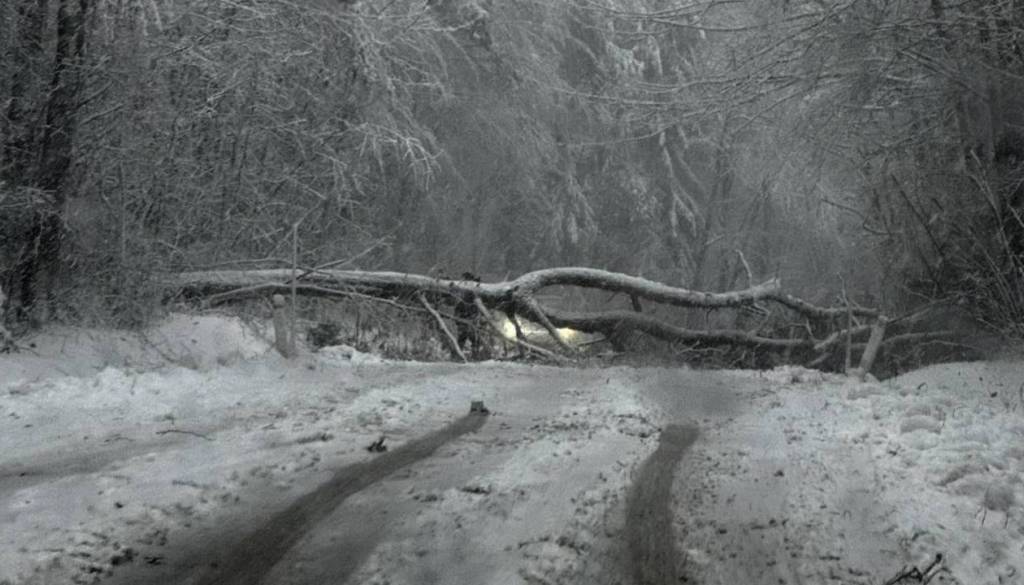 Težak sneg podiral drogove, SI-ALARM pa brez obvestila