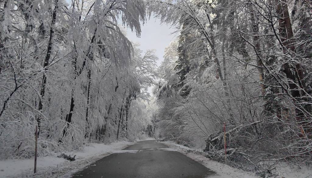 Po obsežnem sneženju napovedana otoplitev, temperature do 15 stopinj