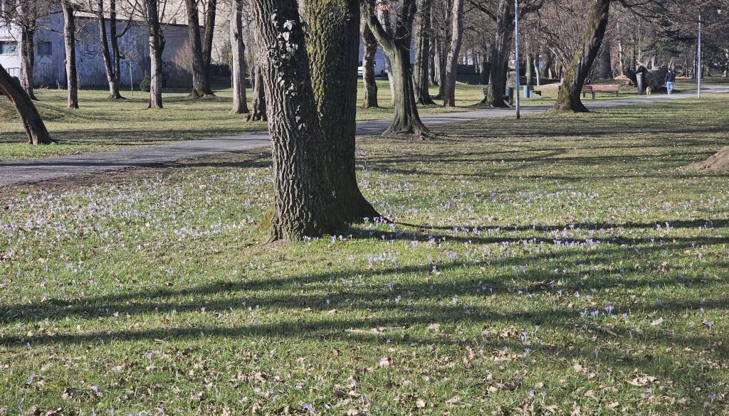 Precej več sonca kot običajno, temperature nadpovprečne 