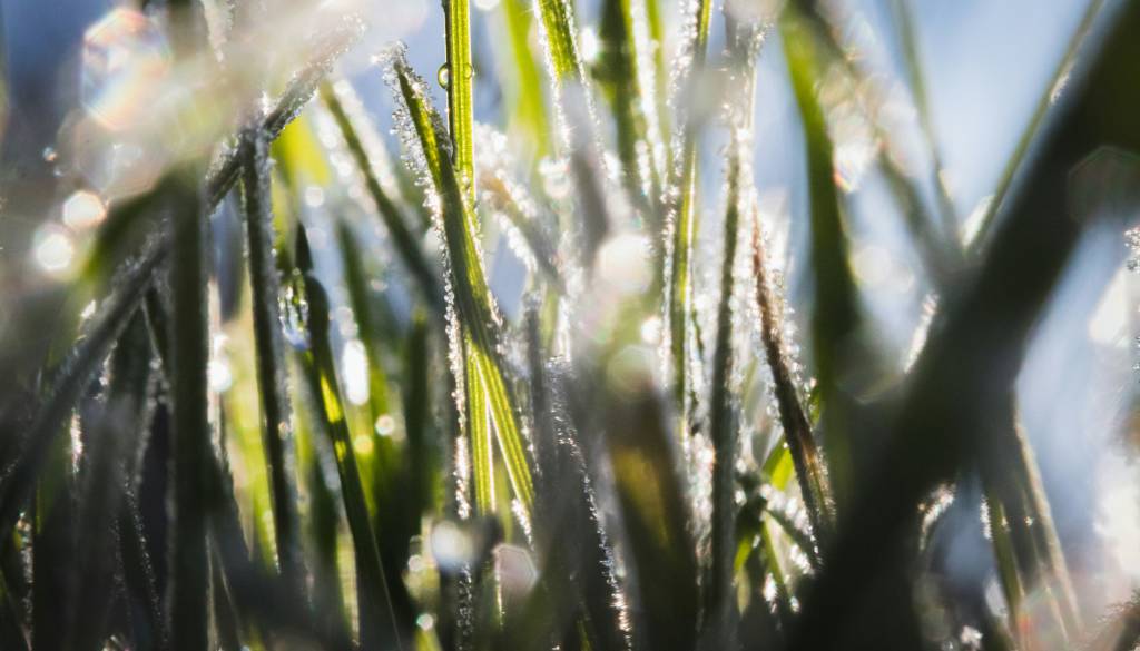 Tako visoko so se temperature povzpele danes, proti koncu tedna pa še do 19 stopinj Celzija