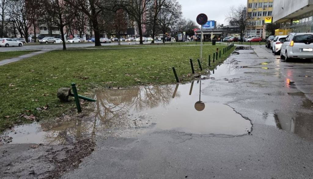 V Šiški so podrli količke in parkirali na zelenici