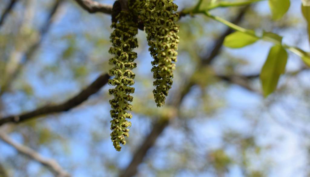 Temperature do 18 stopinj Celzija, a dnevi ne bodo za vse brezskrbni