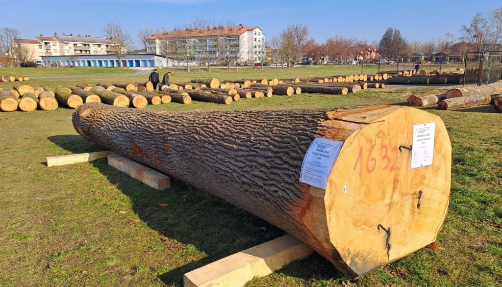 FOTO in VIDEO: