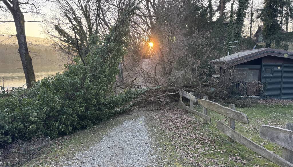 FOTO: Teden po sneženju: Na priljubljeni poti ob Dravi še vedno podrta drevesa