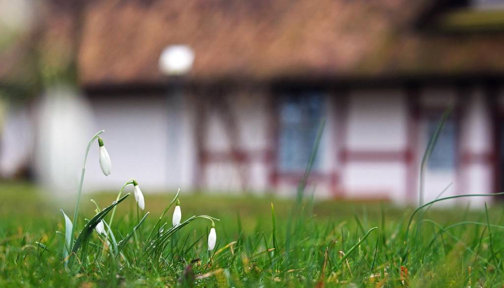 Do kdaj bodo vztrajale nadpovprečne temperature?