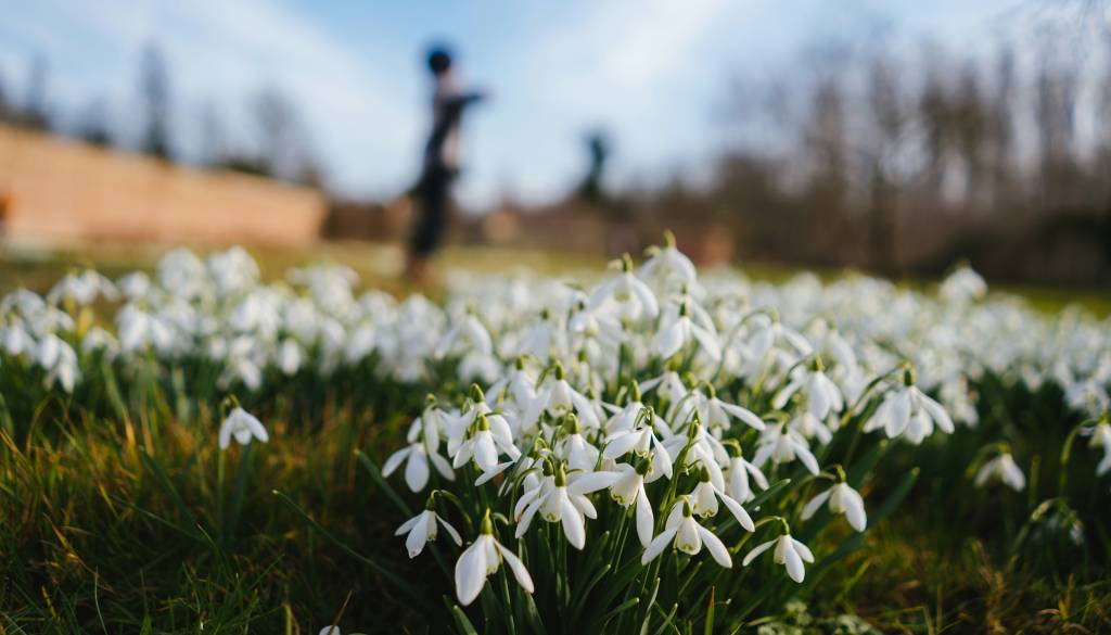 Kdaj nastopi prvi pomladni dan in pomladno enakonočje? To je točen datum in ura