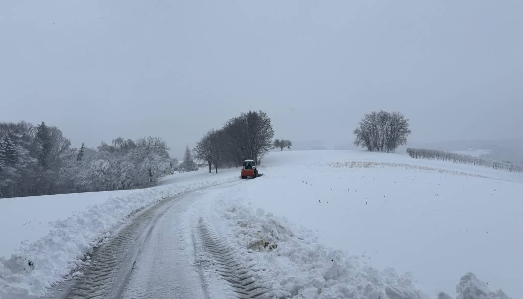 Po pomladnem začetku marca prihaja vremenski preobrat, možen tudi sneg in sodra