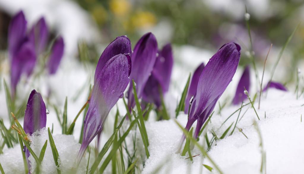 Po toplih dneh vremenski šok: Nad Slovenijo prihaja hladnejša zračna masa