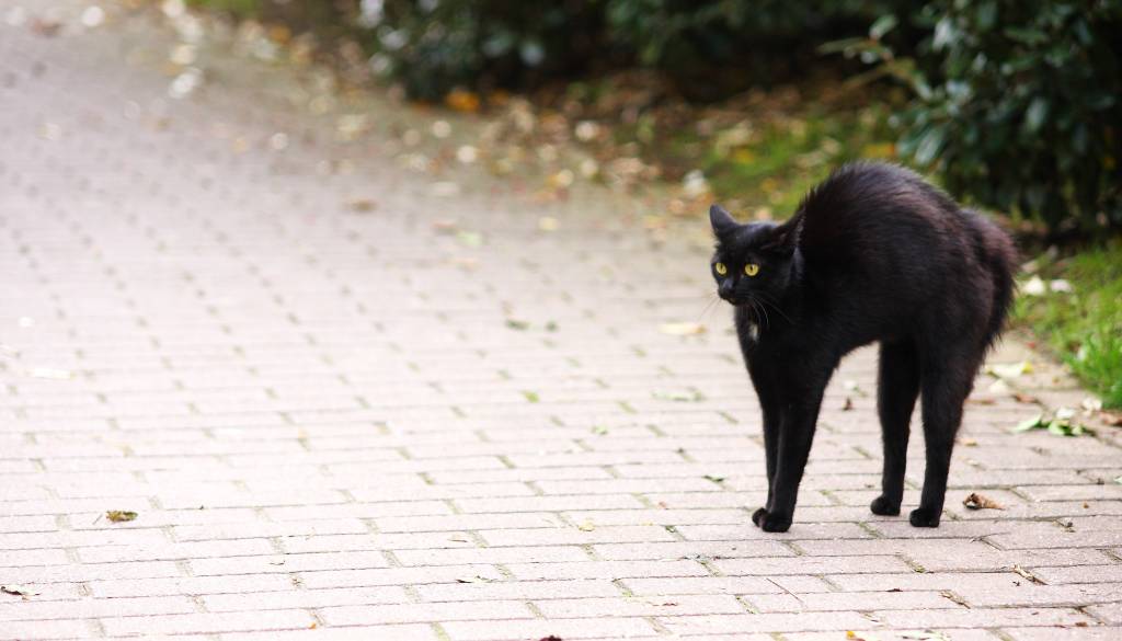 Danes je petek 13. Zakaj ta datum že stoletja velja za dan nesreče?
