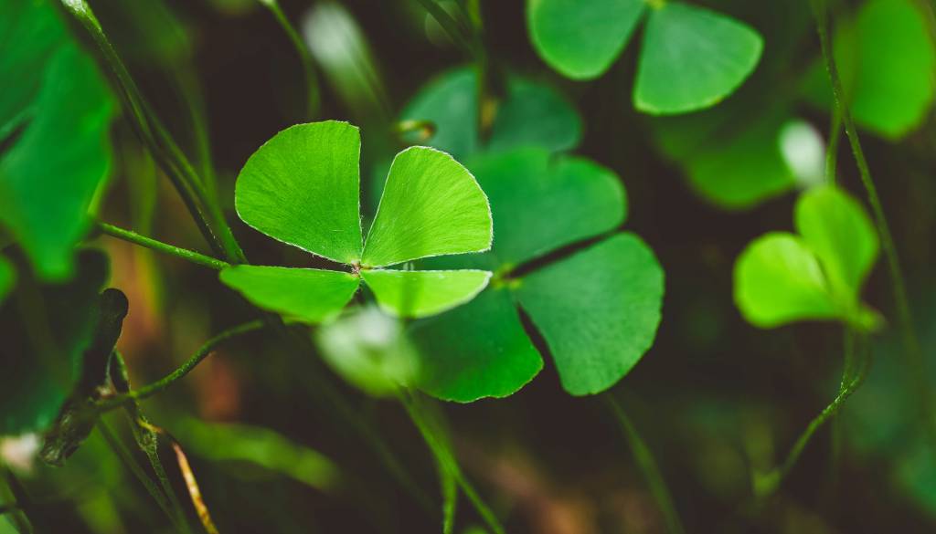 Miti o petku 13. odpadejo, tem znamenjem prinaša srečo