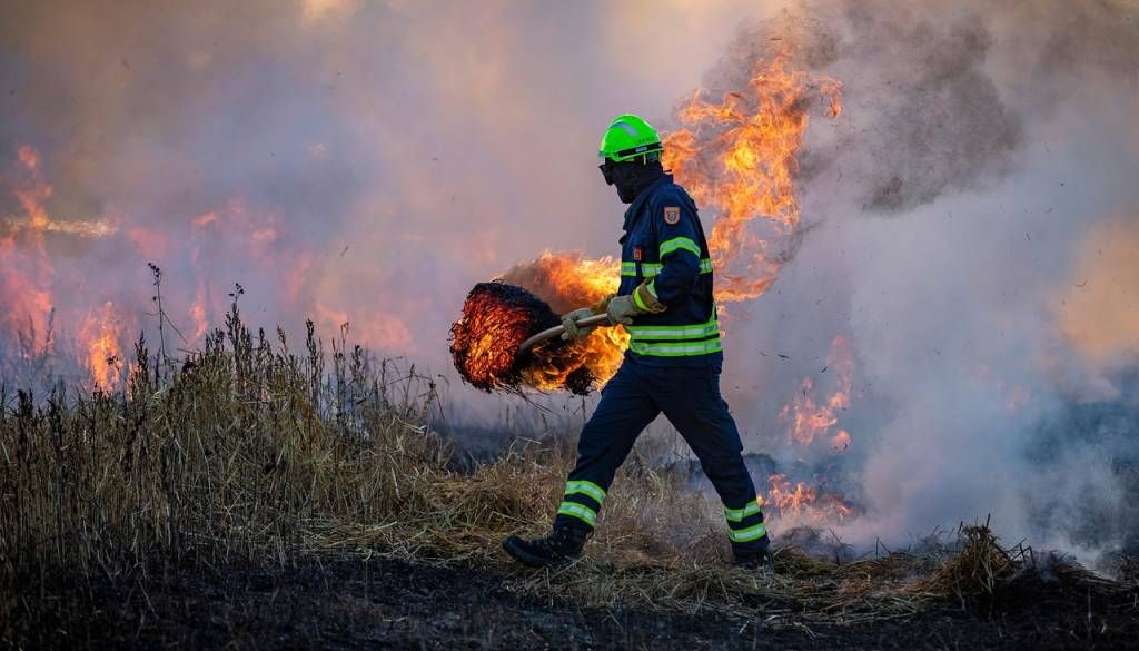 V Šturmovcih izbruhnil požar podrastja, posredovali gasilci
