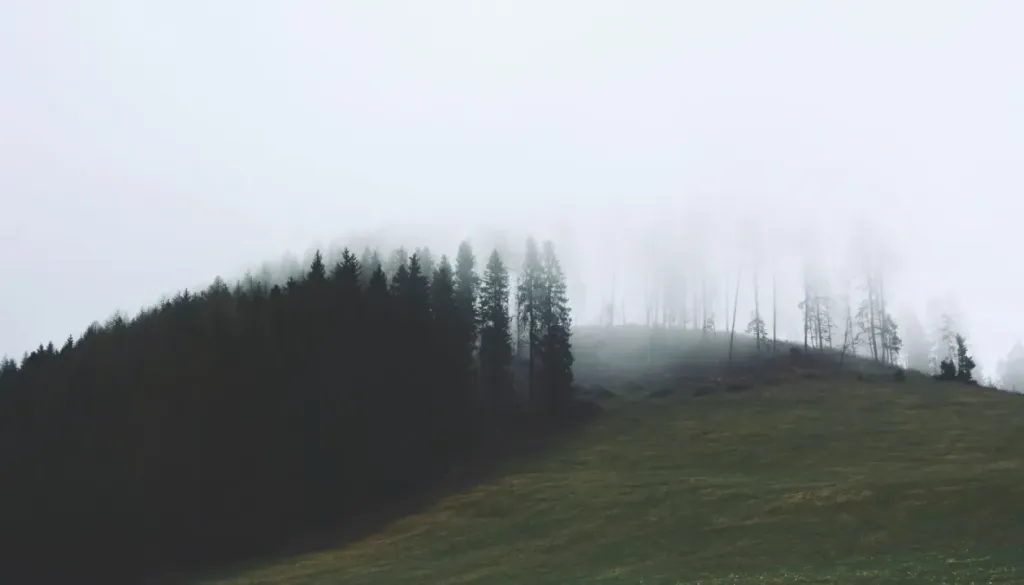 Ponoči padavine in nevihte, meja sneženja se bo spuščala