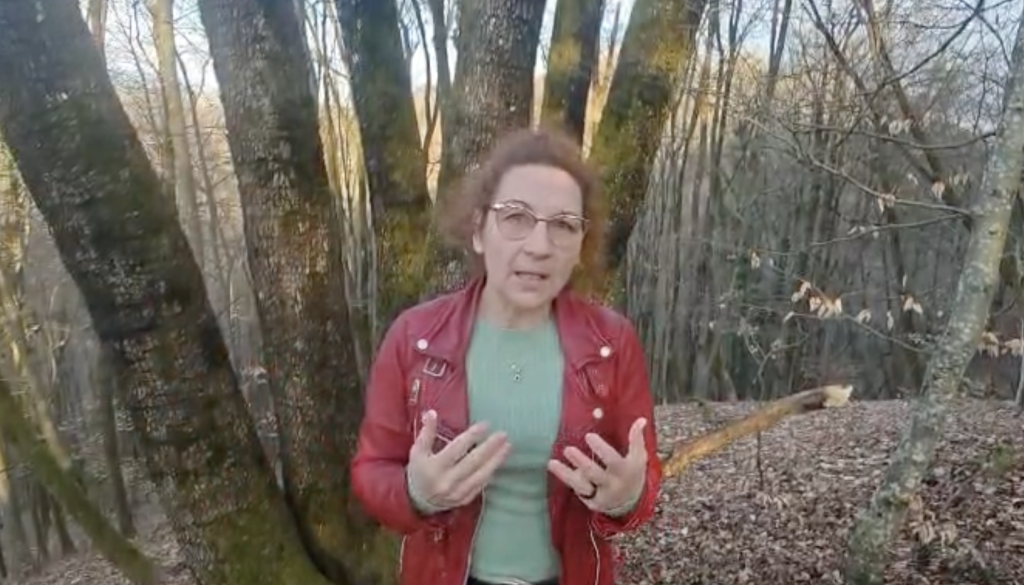 VIDEO: Novomeška kandidatka Irena Hren: 'Kljub visoki izobrazbi si bivanja v Novem mestu ne morem privoščiti'