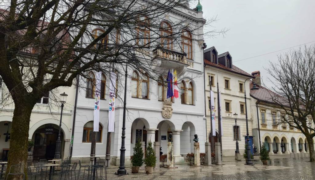 Nov poskus oživitve centra Novega mesta. Iščejo mestnega menedžerja, izkušnje niso nujne