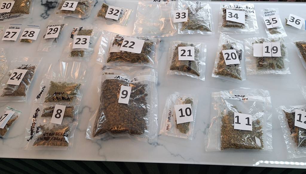 Ljubljanski trgovec prodajal bonbone z drogo? Policija zasegla več kot 30 kilogramov