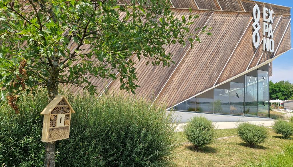 V Expanu ob 8. marcu pripravljajo posebno doživetje in skrivnostno pozornost