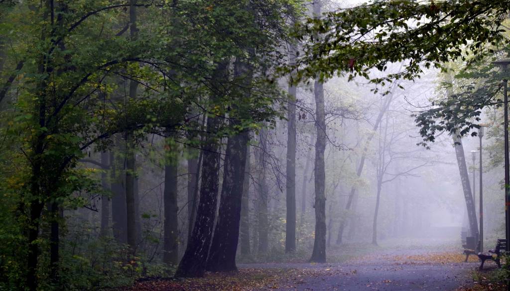 Preklic iskanja, pogrešanega našli mrtvega 