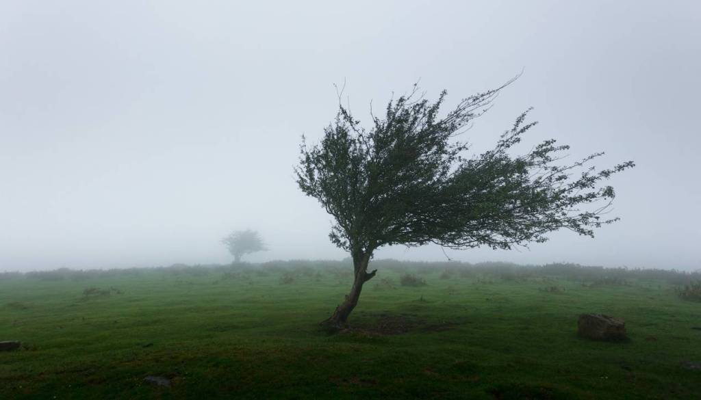 Pozor! Meteorologi napovedujejo prehod hladne fronte, jutri sunki vetra v naših krajih tudi več kot 70 kilometrov na uro