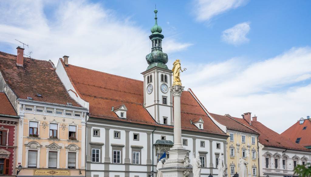 Evropski sklad bo za Mestne hišo Rotovž prispeval 4,45 milijona evrov