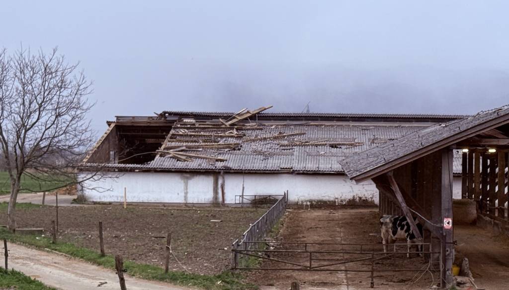 Na Gorenjskem poškodovanih skoraj 300 stanovanjskih objektov 