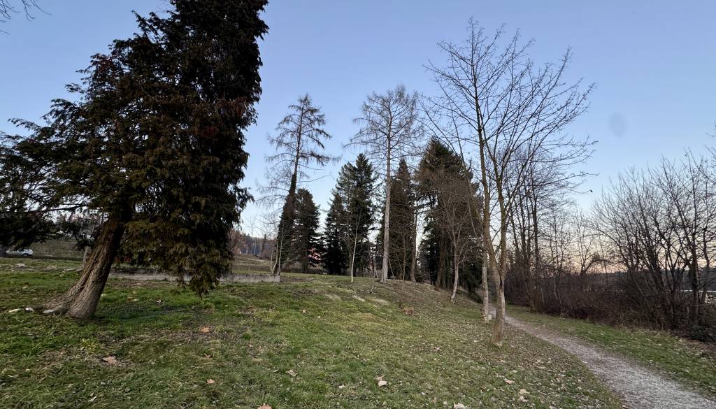Razkrivamo, kako bo videti nova oaza ob Dravi