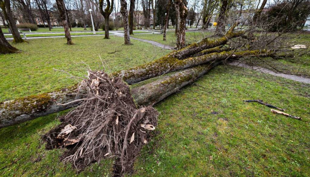 Veter za sabo pustilo razdejanje, po državi več kot 800 intervencij