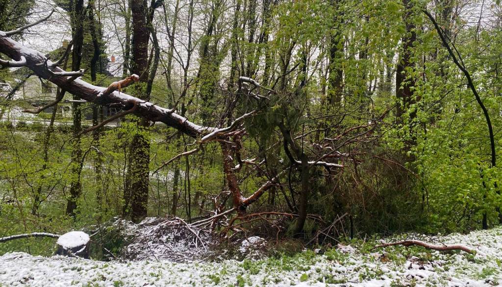 Vetrolom pustošil tudi na Štajerskem. Gregorčič: Gre za dogodek, ki se zgodi enkrat na deset let