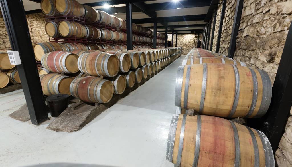 Vina je manj, bela sorta ostaja v ospredju