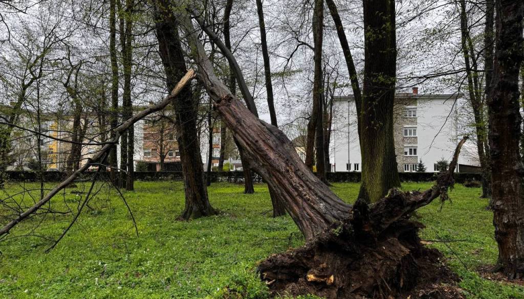 Pomurje po neurju: včeraj 36 intervencij, posledice še vedno odpravljajo